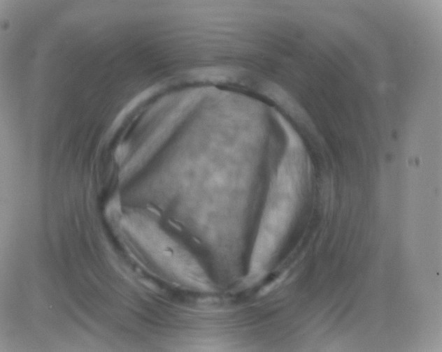 X0000083040064200702231940