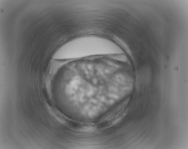 X0000083040065200702231940