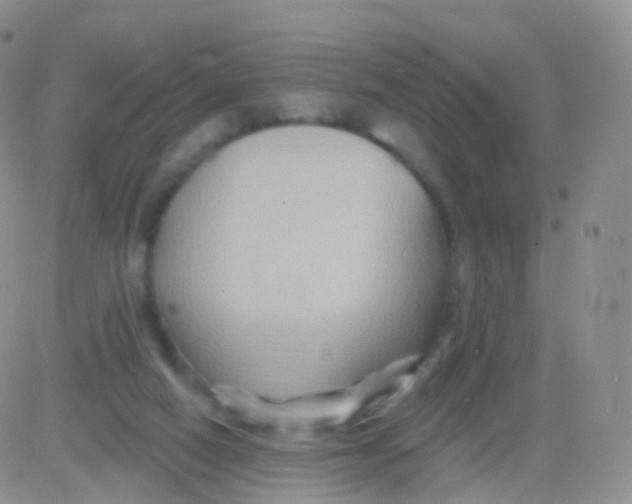 X0000083040066200702231940