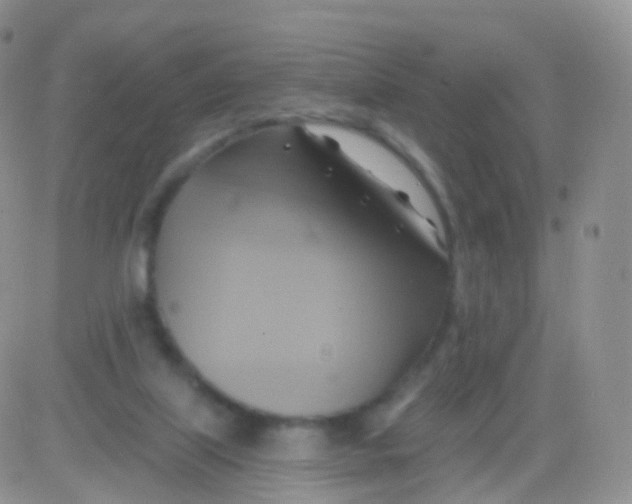 X0000083040067200702231940