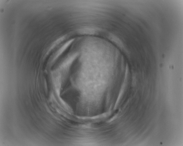 X0000083040068200702231940