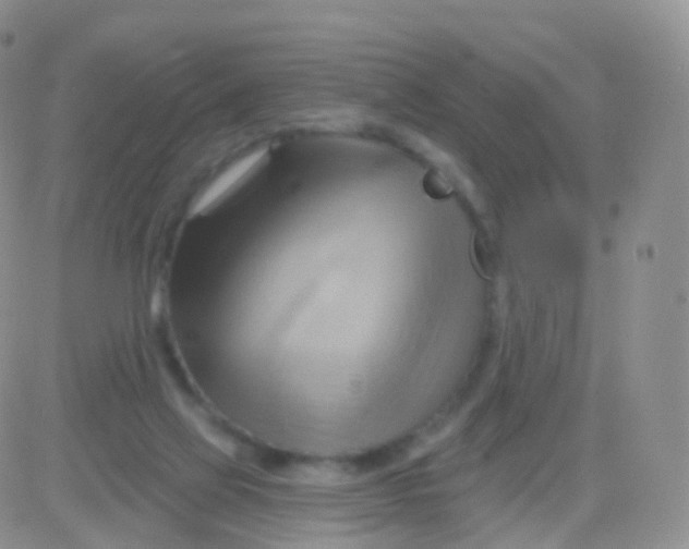 X0000083040069200702231940