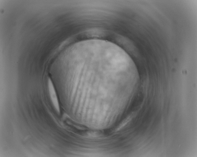 X0000083040070200702231940