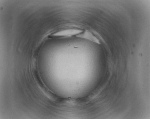 X0000083040071200702231940