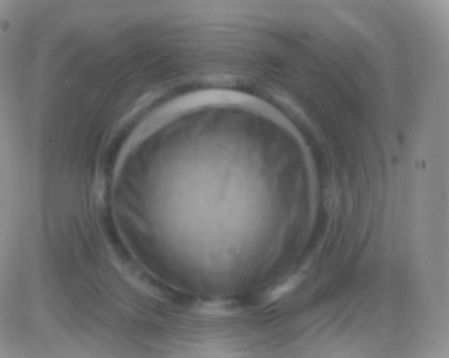 X0000083040072200702231940