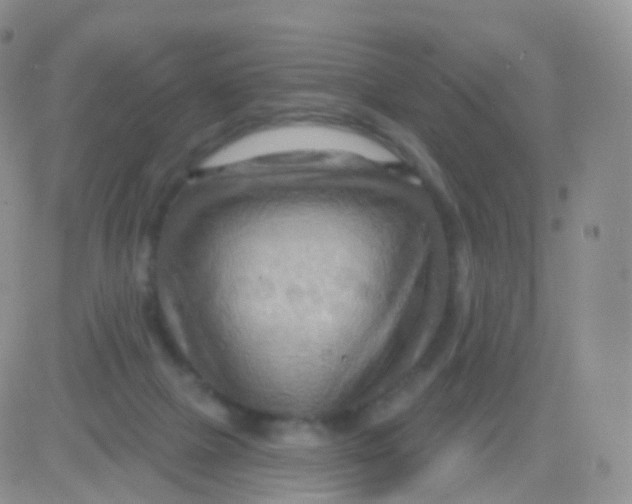 X0000083040073200702231940