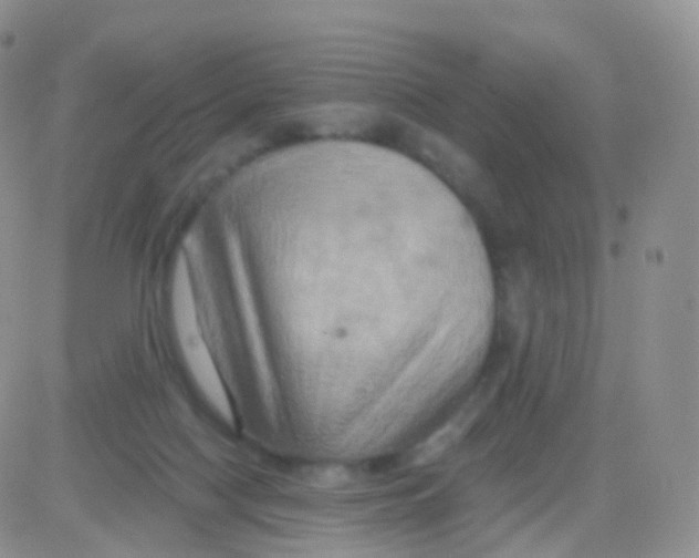 X0000083040074200702231940