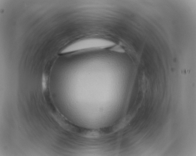 X0000083040075200702231940