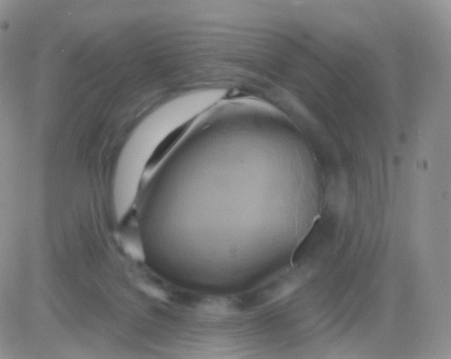 X0000083040076200702231940