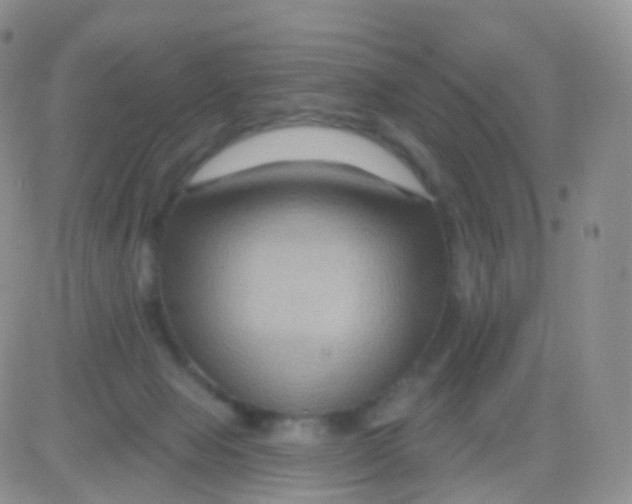 X0000083040077200702231940