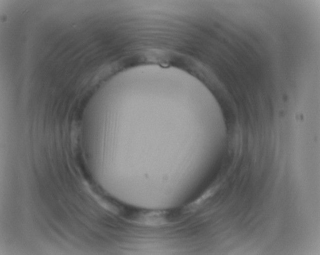 X0000083040078200702231940