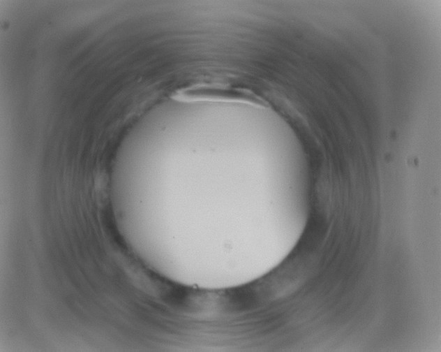 X0000083040079200702231940