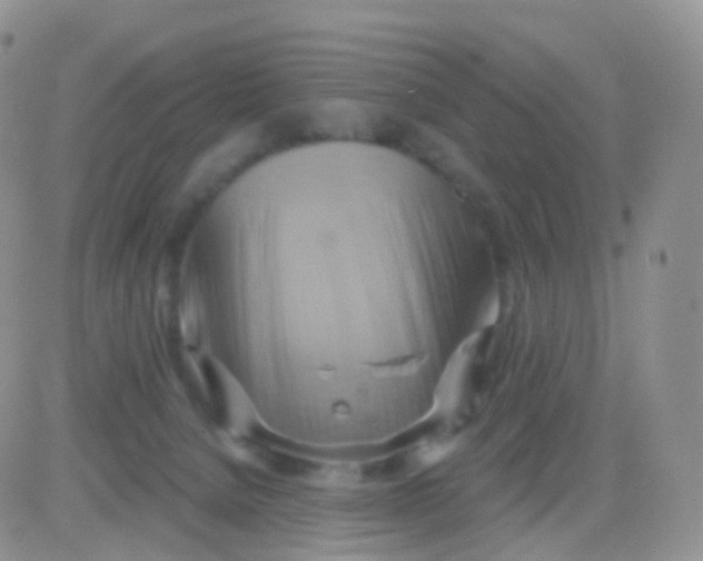 X0000083040080200702231940