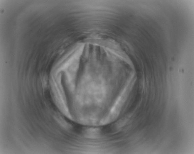 X0000083040081200702231940