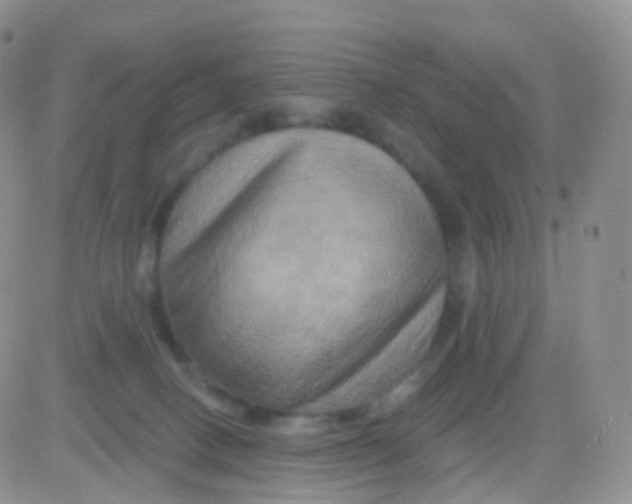 X0000083040082200702231940