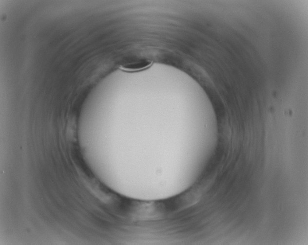 X0000083040083200702231940