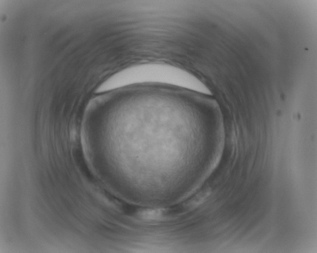 X0000083040084200702231940