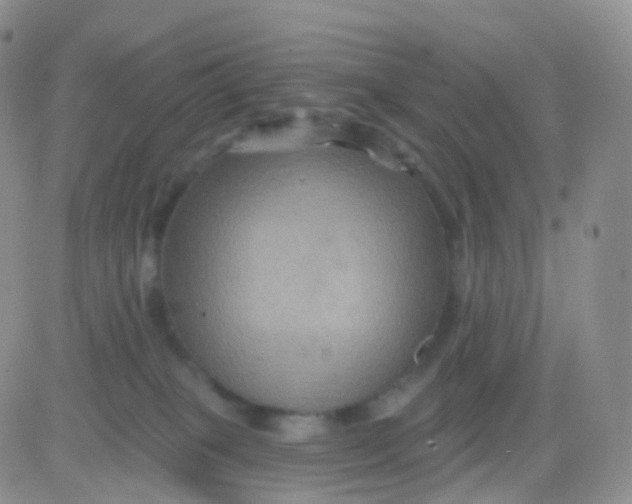 X0000083040085200702231940