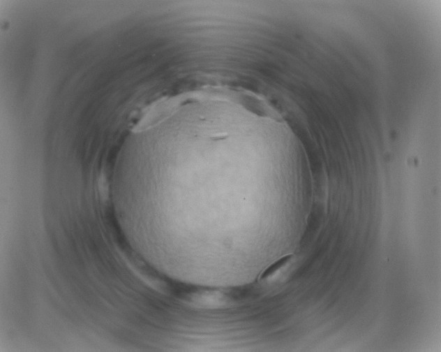 X0000083040086200702231940