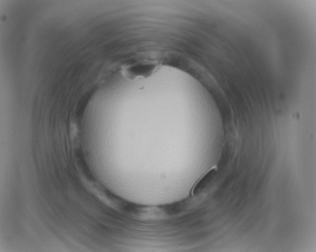 X0000083040087200702231941