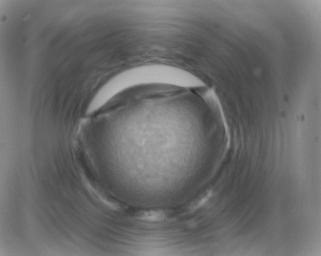 X0000083040088200702231941