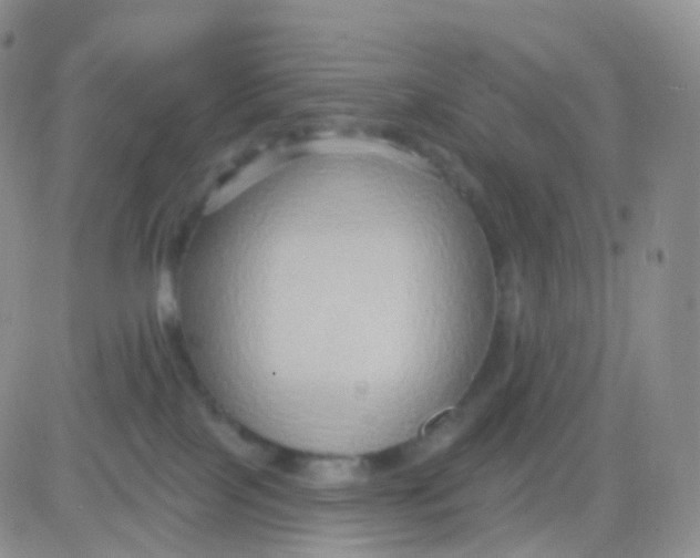 X0000083040089200702231941