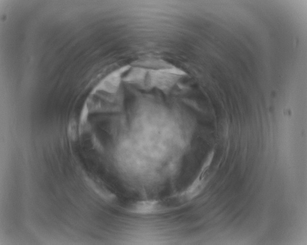 X0000083040090200702231941