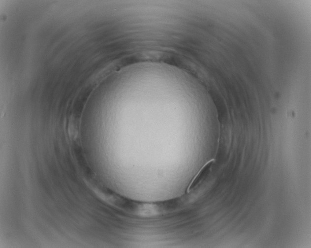 X0000083040091200702231941