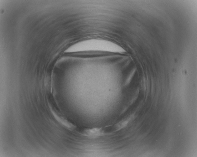 X0000083040092200702231941