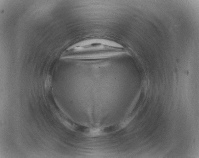 X0000083040093200702231941