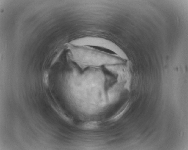 X0000083040094200702231941