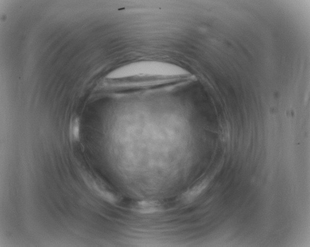 X0000083040095200702231941