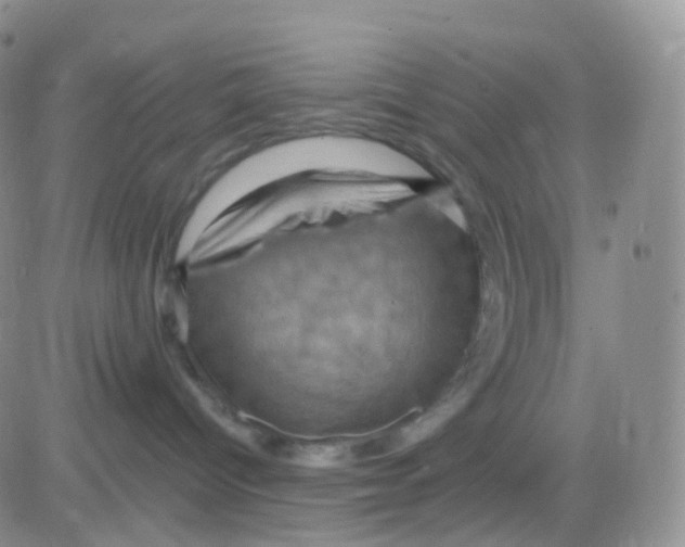 X0000083040096200702231941