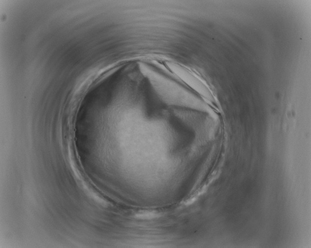 X0000083040097200702231940