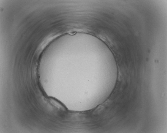 X0000083040098200702231940