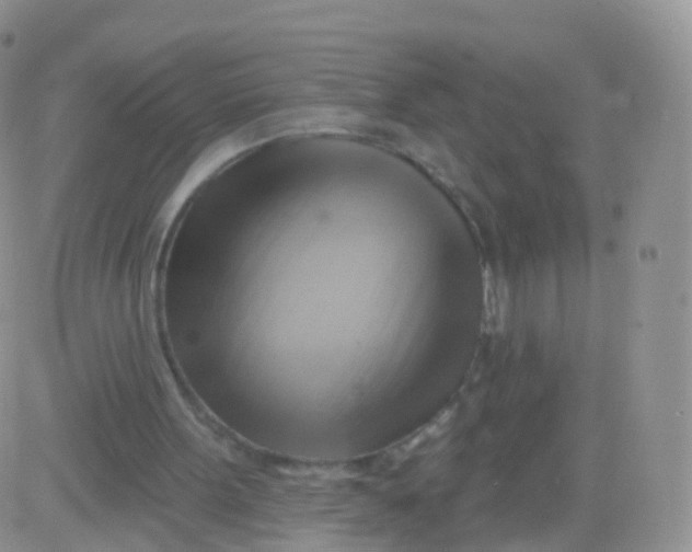 X0000083040099200702231940