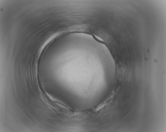 X0000083040100200702231940