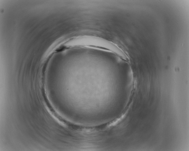 X0000083040101200702231940