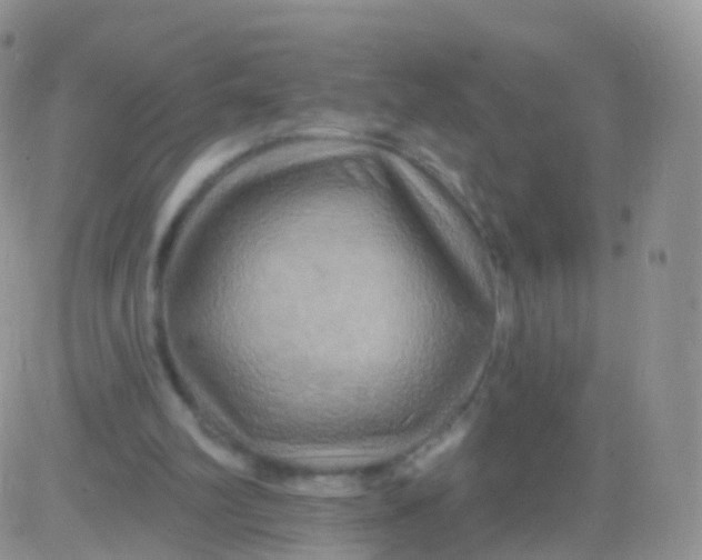 X0000083040102200702231940