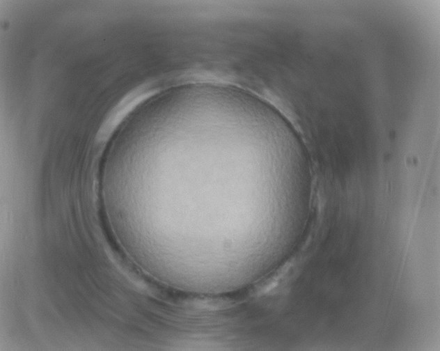 X0000083040103200702231940