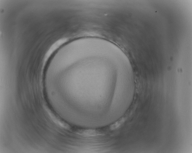 X0000083040104200702231940