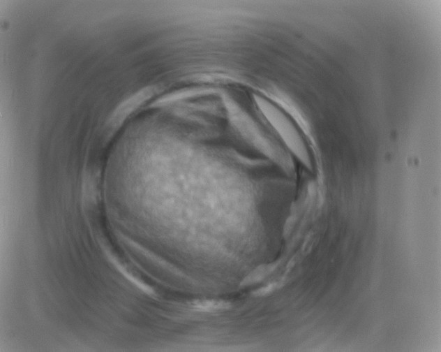 X0000083040105200702231940