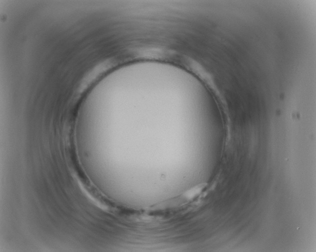 X0000083040106200702231940