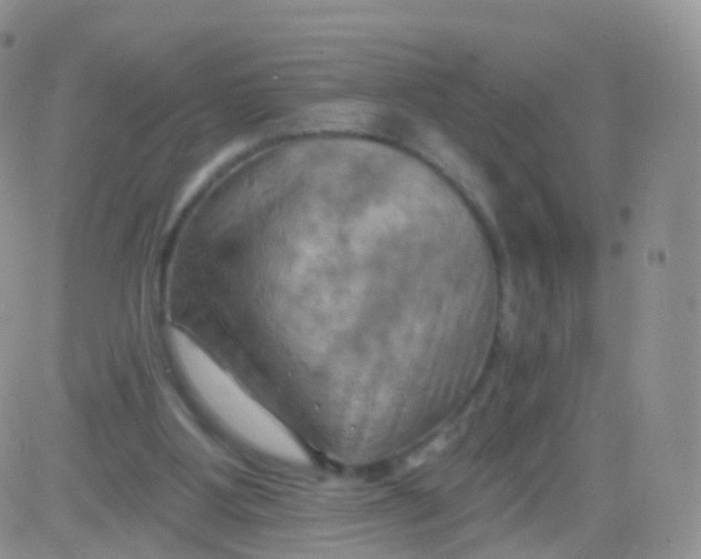 X0000083040107200702231940