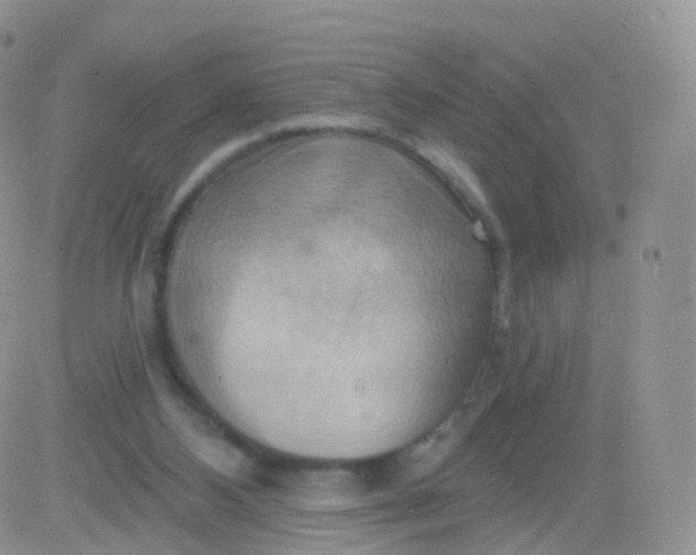 X0000083040108200702231940