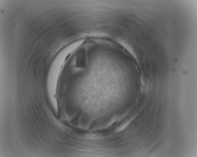 X0000083040109200702231940