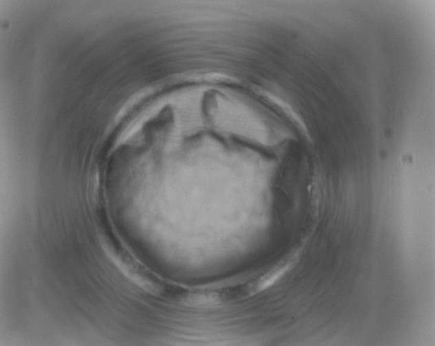 X0000083040110200702231940