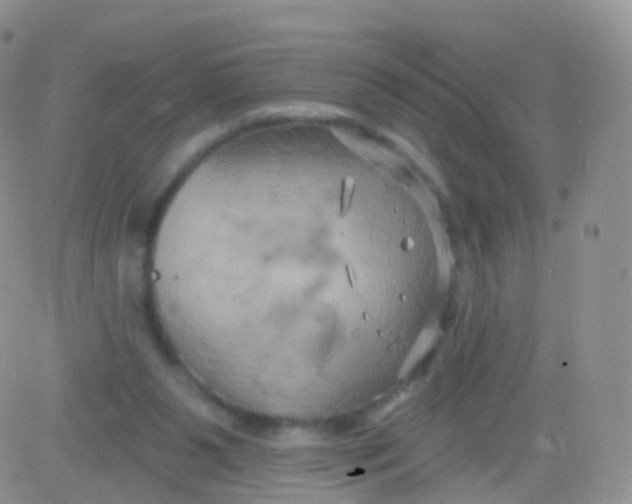 X0000083040111200702231940