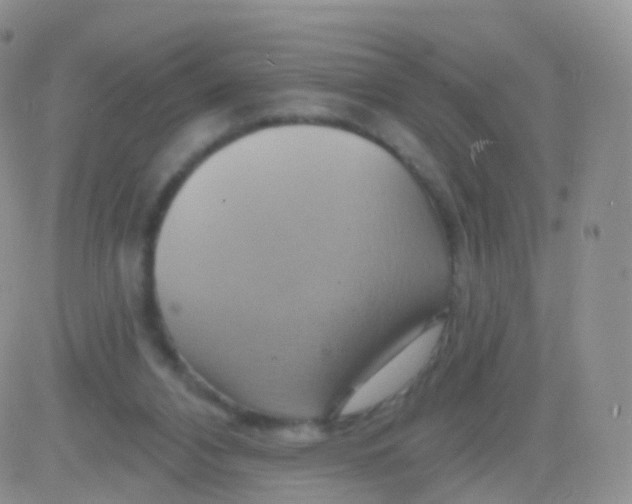 X0000083040112200702231940