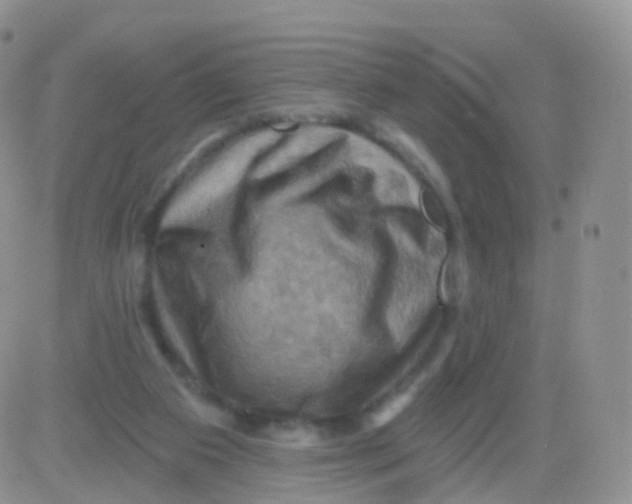 X0000083040113200702231940